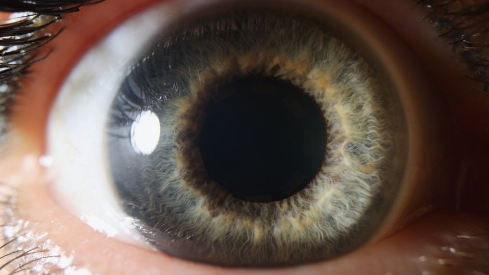 Why Does Fentanyl Make You Bend Over a man experienced pinpoint pupils from fentanyl.