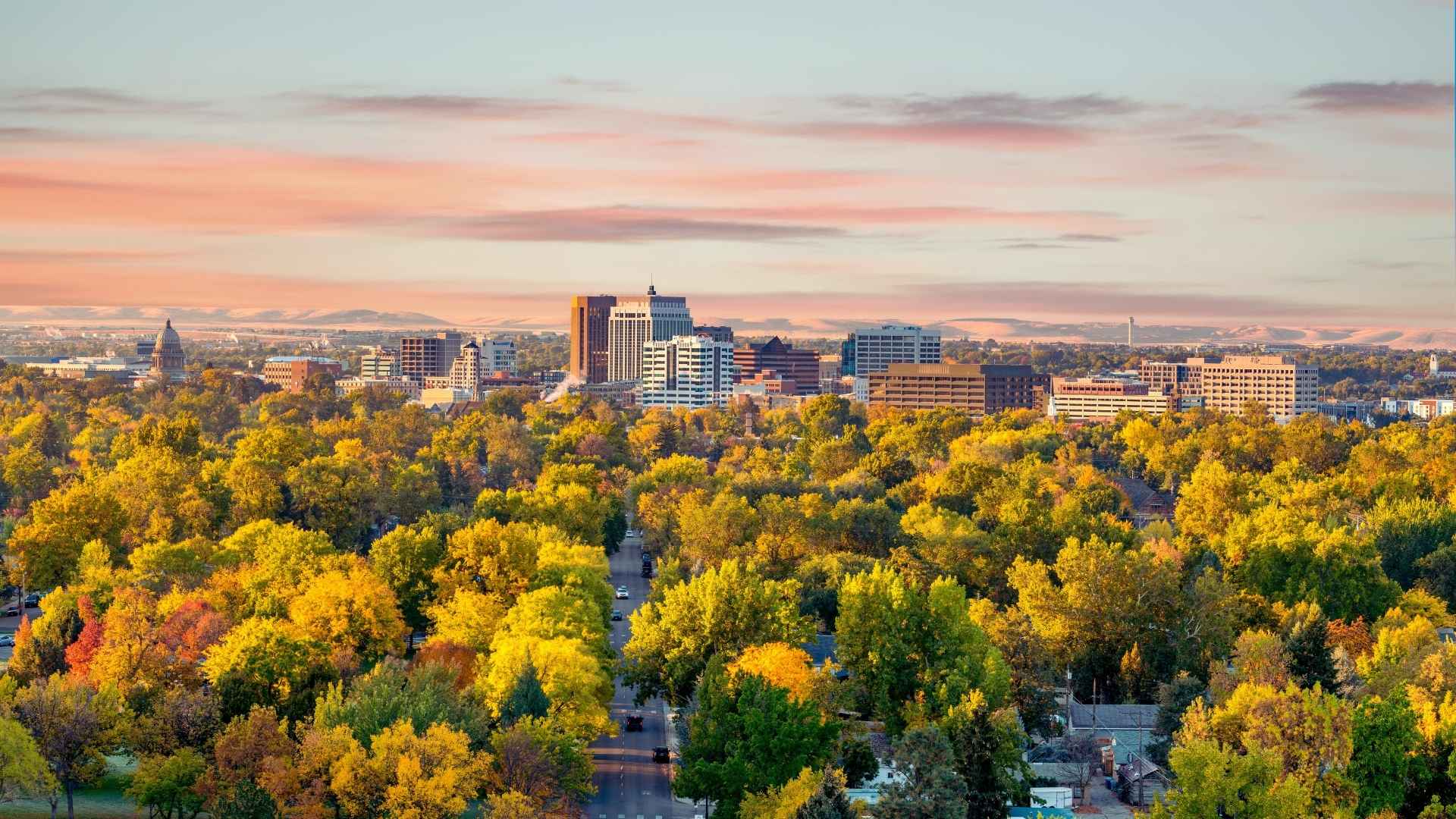 Does Idaho Medicaid Cover Methadone Treatment What Patients Need to Know