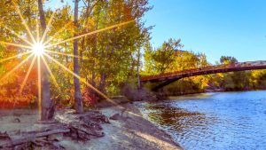 Idaho Medicaid Coverage for Suboxone Treatment