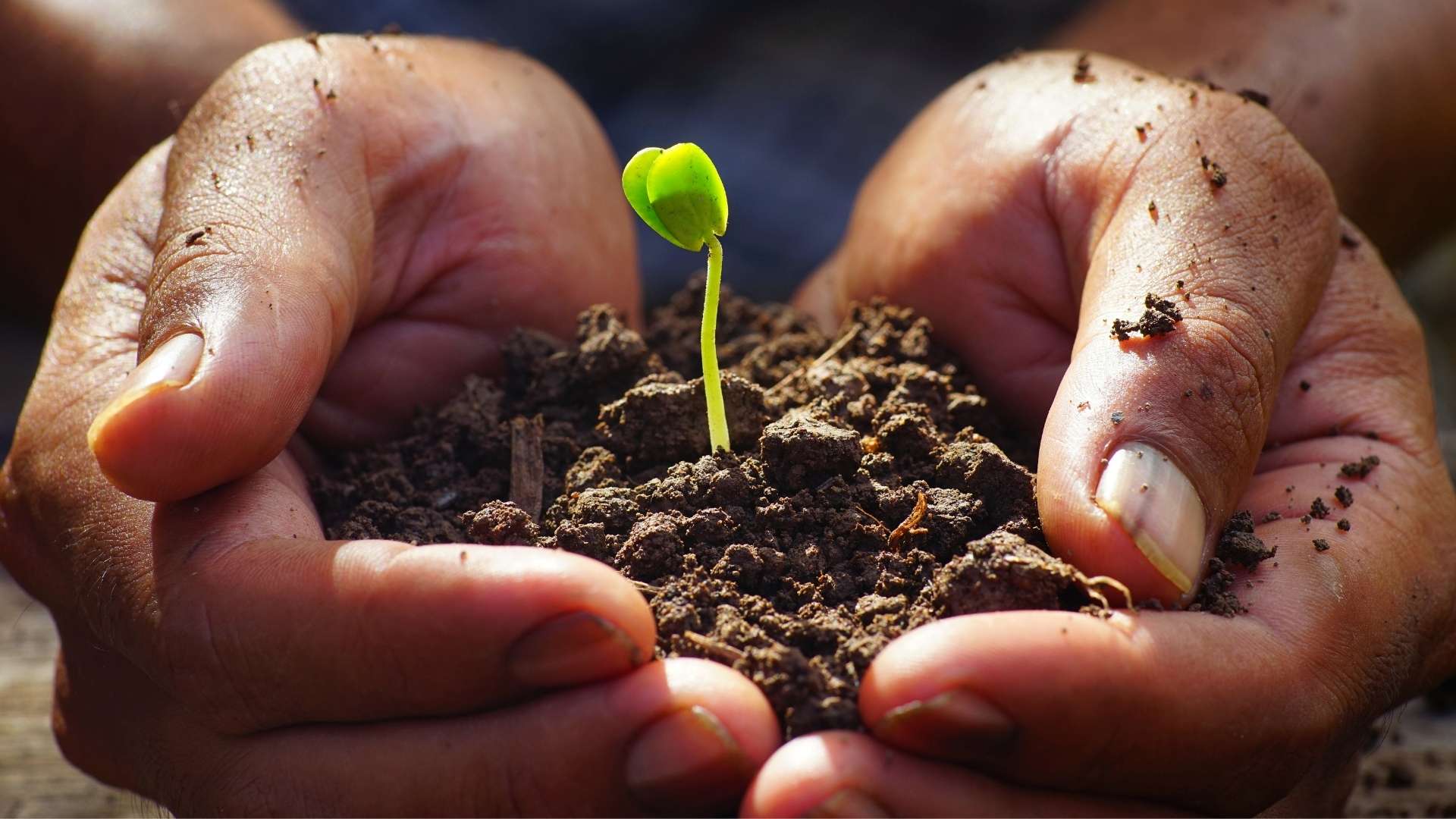 Stages of Addiction Recovery Understanding the Process Beyond Detox and Rehab