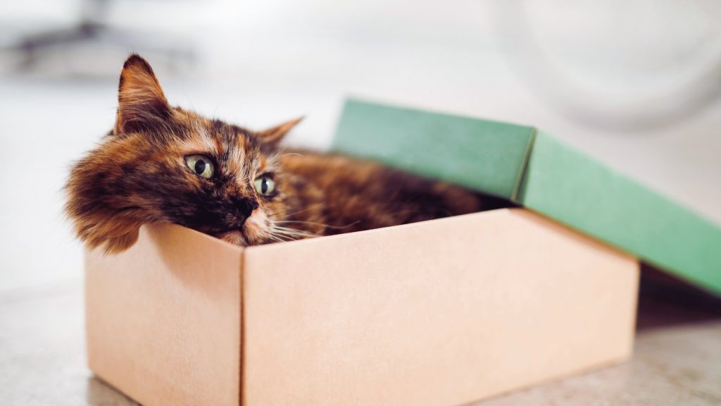 A good fit and finding the right level of addiction care