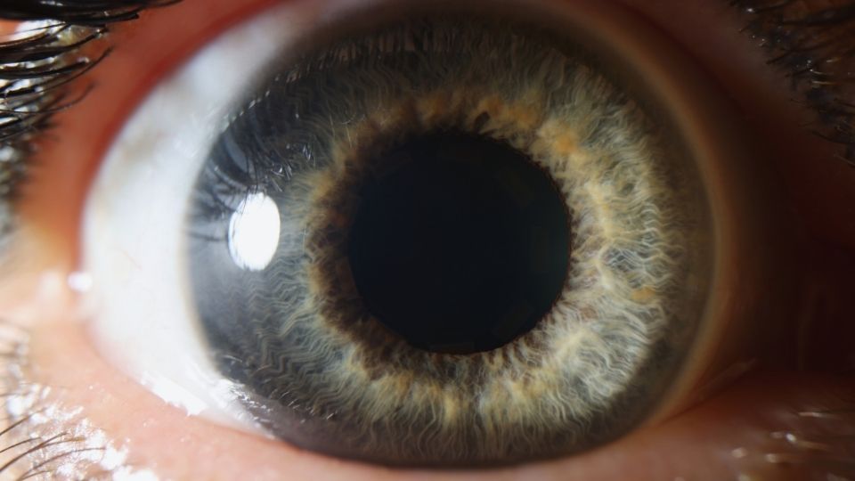 signs of cocaine use include things like behavior changes and physical symptoms.